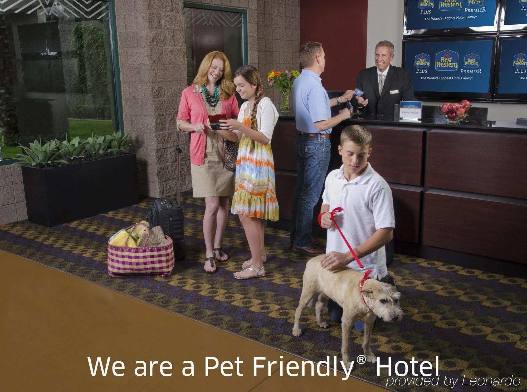 Best Western Greentree Inn & Suites Moore Zewnętrze zdjęcie